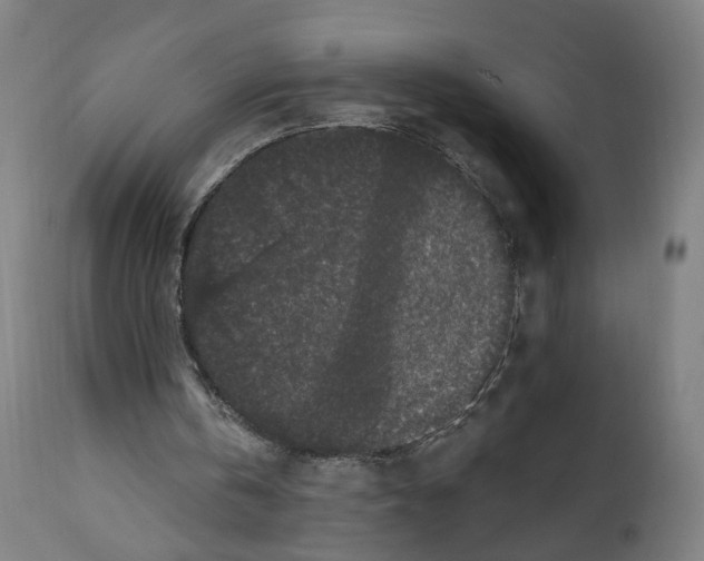 X0000111580146200908271044