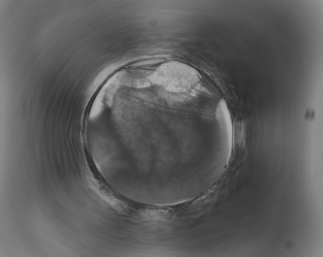 X0000111580147200908271044