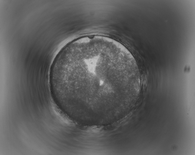 X0000111580148200908271044