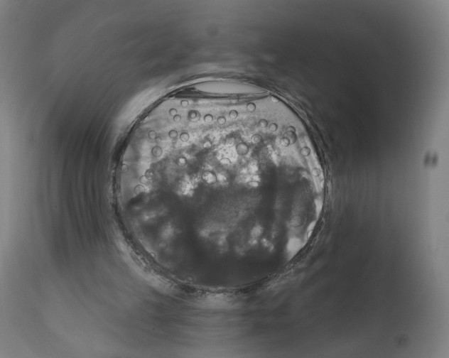 X0000111580149200908271044