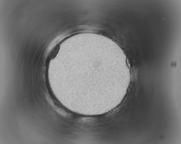 X0000111580150200908271044