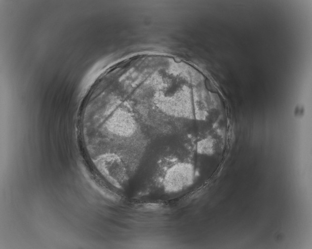 X0000111580151200908271044