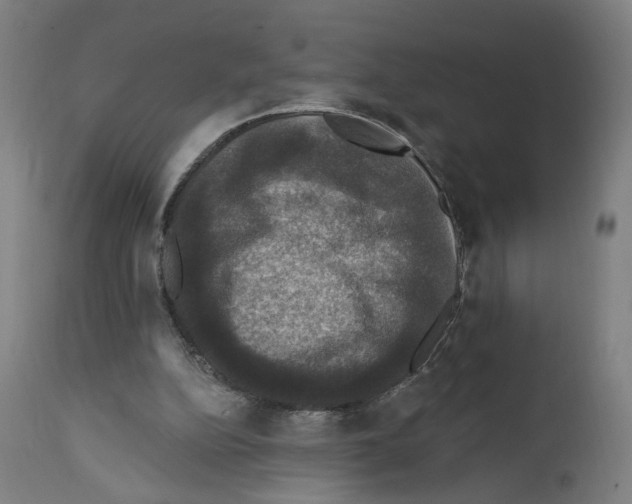 X0000111580152200908271044