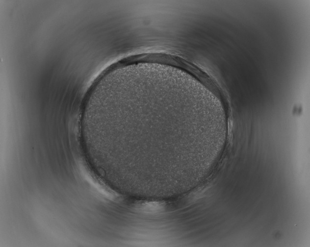 X0000111580156200908271044