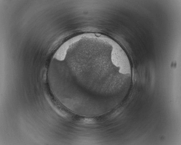 X0000111580157200908271044