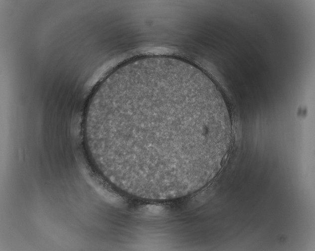 X0000111580159200908271044