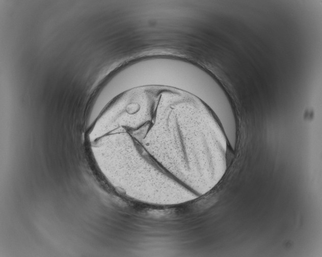 X0000111580160200908271044