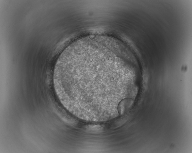 X0000111580161200908271044