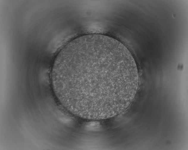 X0000111580162200908271044