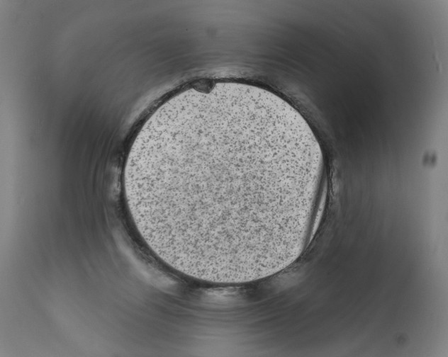 X0000111580164200908271044