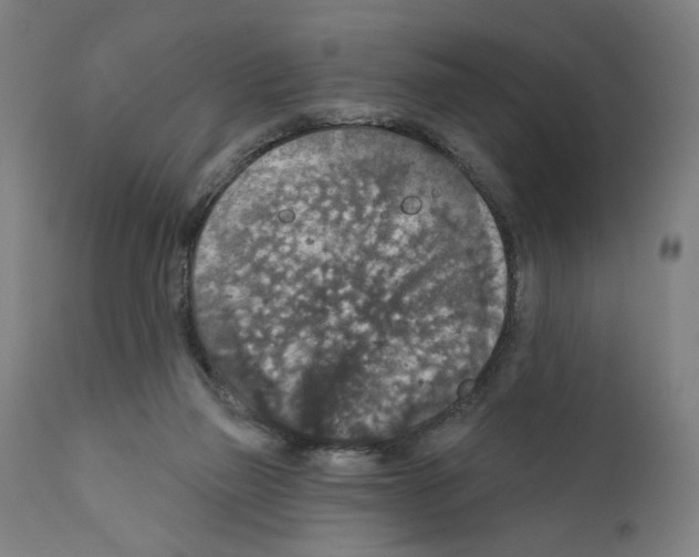 X0000111580165200908271044