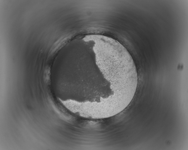 X0000111580166200908271044