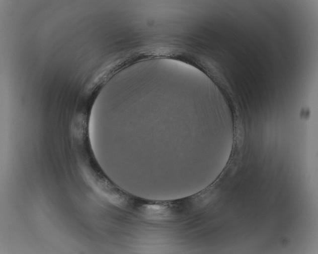 X0000111580167200908271044