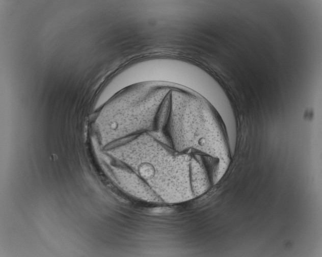 X0000111580168200908271044