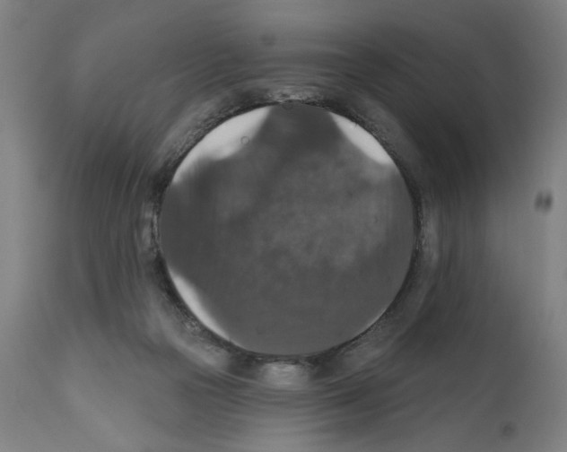 X0000111580169200908271044