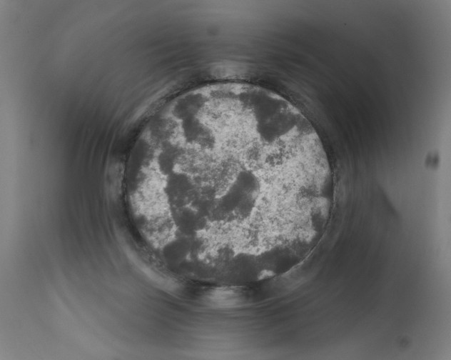 X0000111580171200908271044