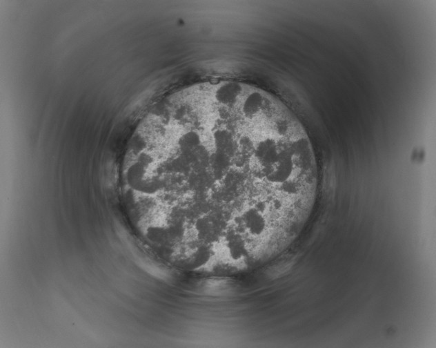 X0000111580173200908271044