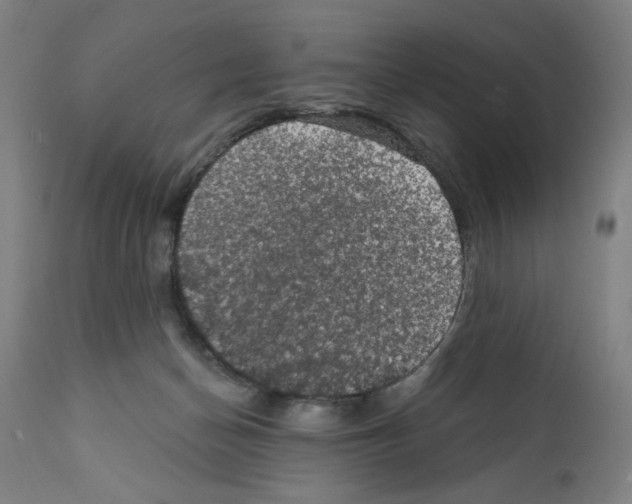 X0000111580174200908271044