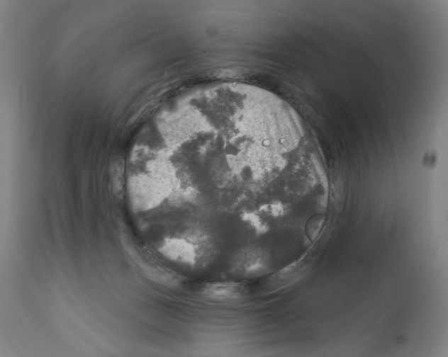 X0000111580175200908271044