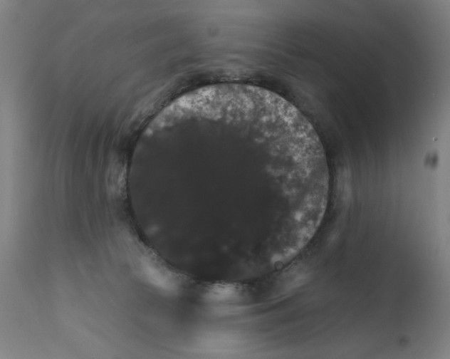 X0000111580177200908271044