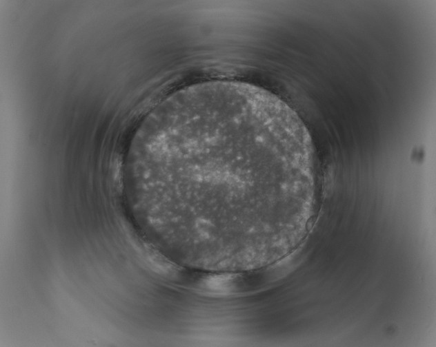 X0000111580178200908271044