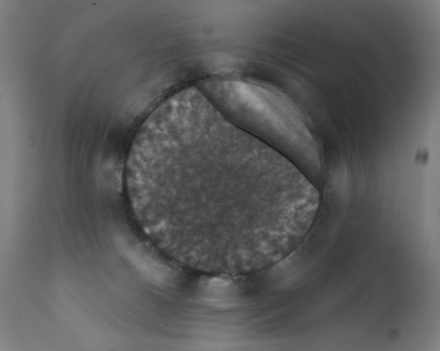 X0000111580180200908271045