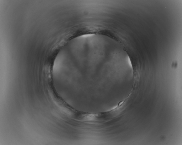 X0000111580182200908271045