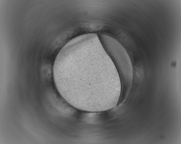 X0000111580184200908271045