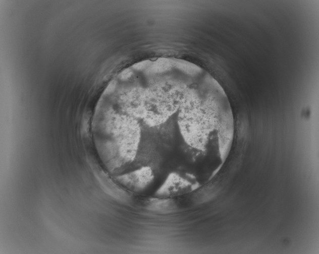 X0000111580185200908271045