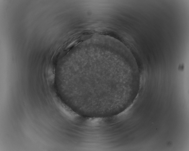 X0000111580186200908271045