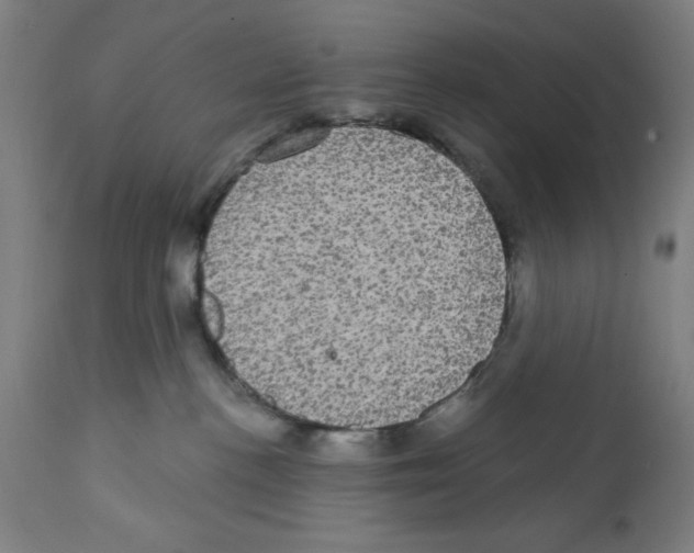 X0000111580188200908271045