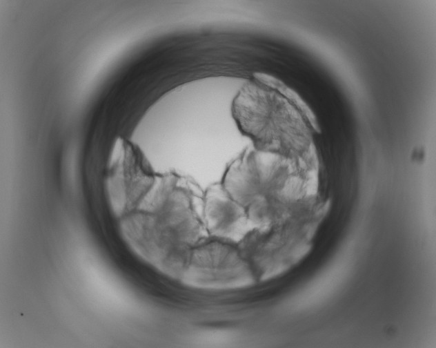 X0000111580189200908271045