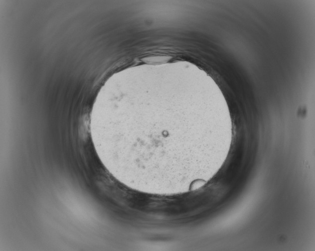 X0000111580190200908271045