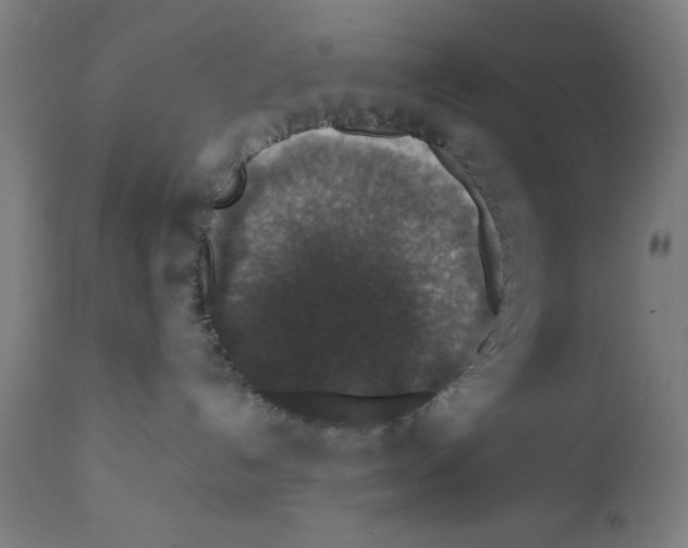 X0000111580192200908271045