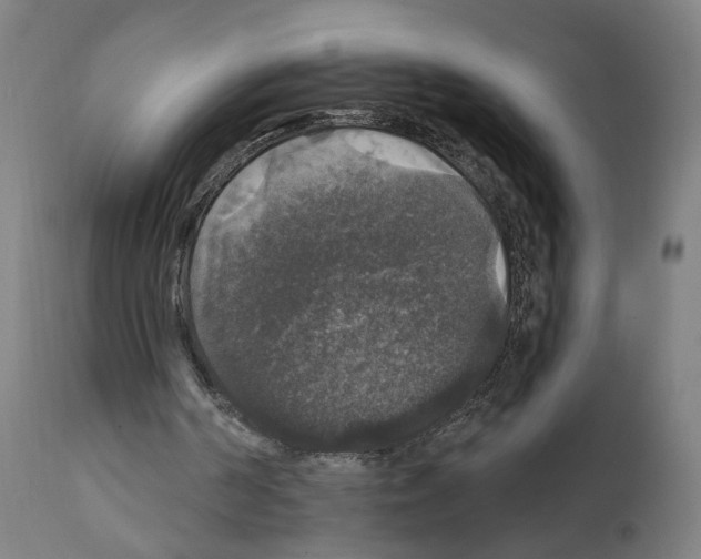 X0000111580194200908271044