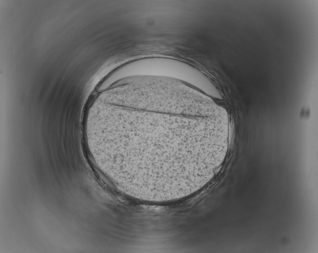 X0000111580195200908271044