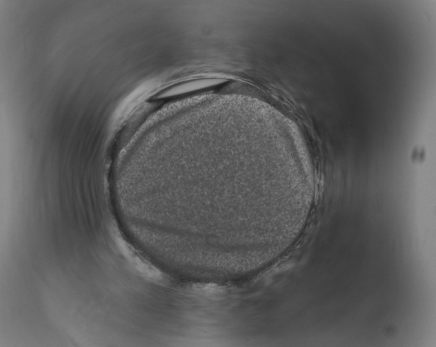 X0000111580197200908271044