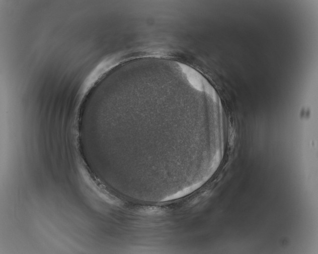 X0000111580198200908271044