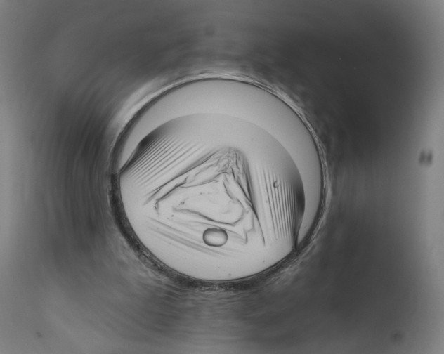 X0000111580199200908271044