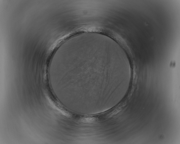 X0000111580202200908271044