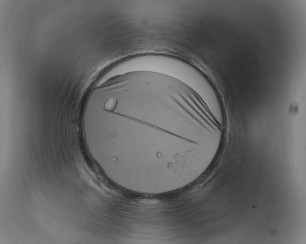 X0000111580203200908271044