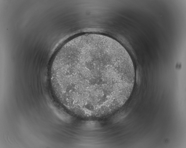 X0000111580204200908271044