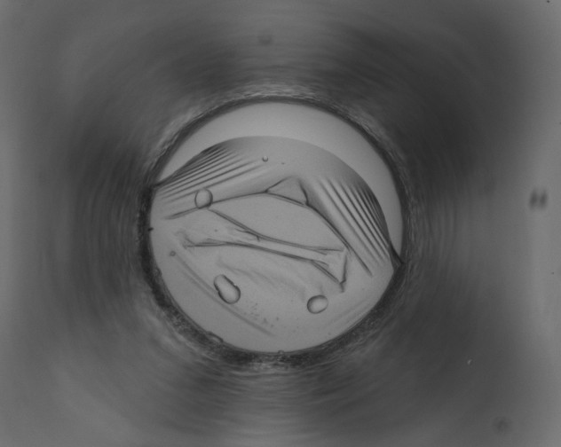 X0000111580207200908271044