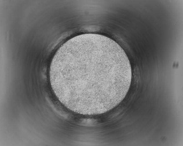 X0000111580212200908271044