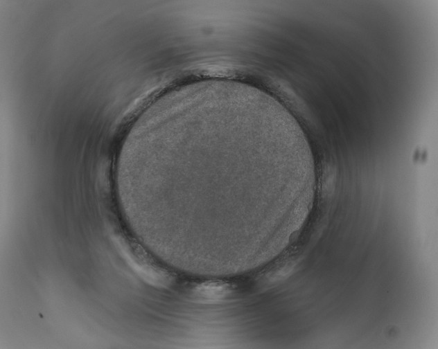 X0000111580213200908271044