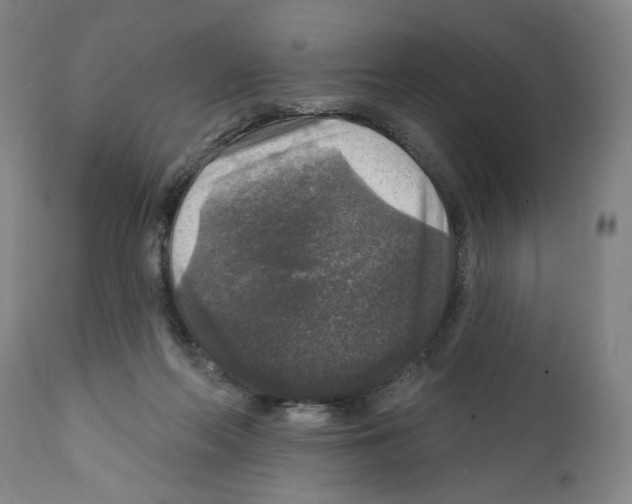 X0000111580214200908271044