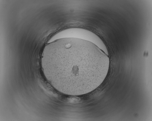 X0000111580215200908271044