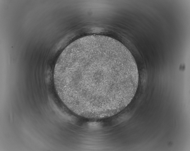 X0000111580216200908271044