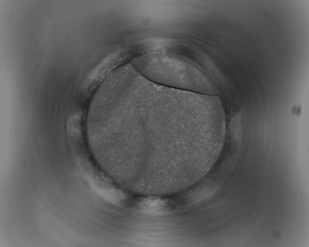 X0000111580217200908271044