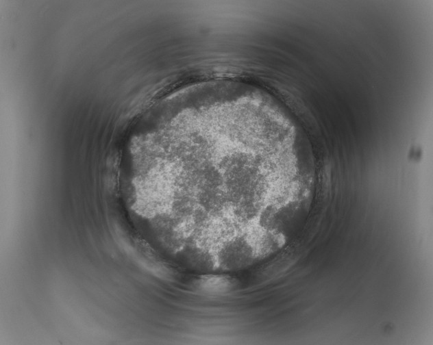 X0000111580218200908271044